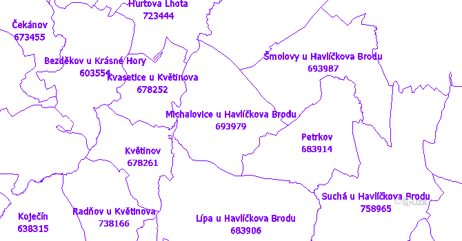 Katastrální mapa Michalovice u Havlíčkova Brodu - přehledová mapa katastrálního území
