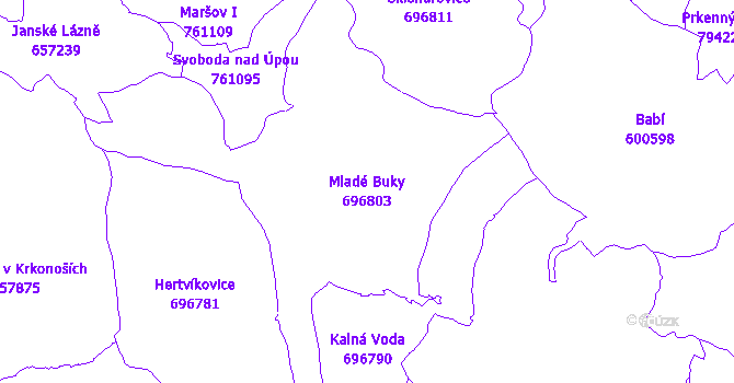 Katastrální mapa Mladé Buky - přehledová mapa katastrálního území