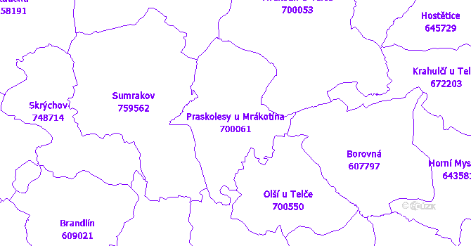 Katastrální mapa Praskolesy u Mrákotína - přehledová mapa katastrálního území