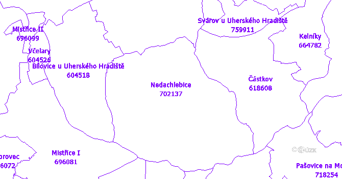 Katastrální mapa Nedachlebice - přehledová mapa katastrálního území
