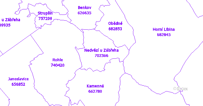 Katastrální mapa Nedvězí u Zábřeha - přehledová mapa katastrálního území