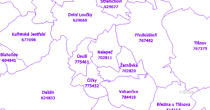 Katastrální mapa Nelepeč - přehledová mapa katastrálního území