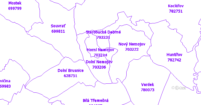Katastrální mapa Horní Nemojov