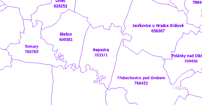 Katastrální mapa Nepasice - přehledová mapa katastrálního území
