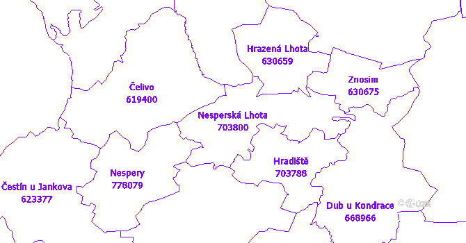 Katastrální mapa Nesperská Lhota - přehledová mapa katastrálního území