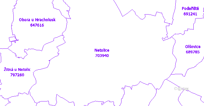 Katastrální mapa Netolice - přehledová mapa katastrálního území
