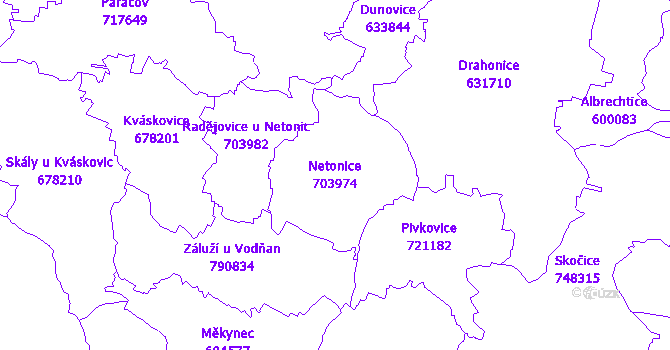 Katastrální mapa Netonice - přehledová mapa katastrálního území