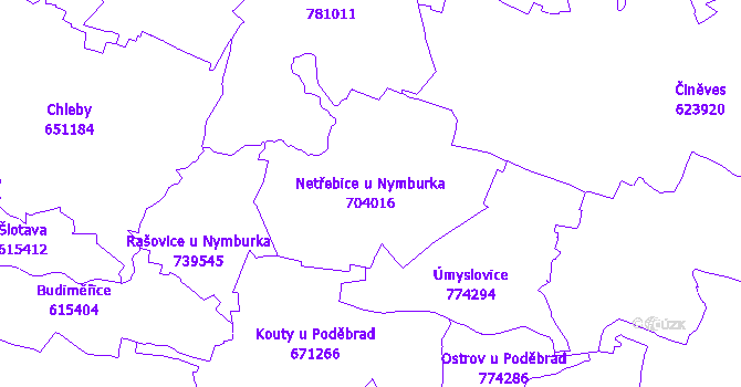 Katastrální mapa Netřebice u Nymburka - přehledová mapa katastrálního území