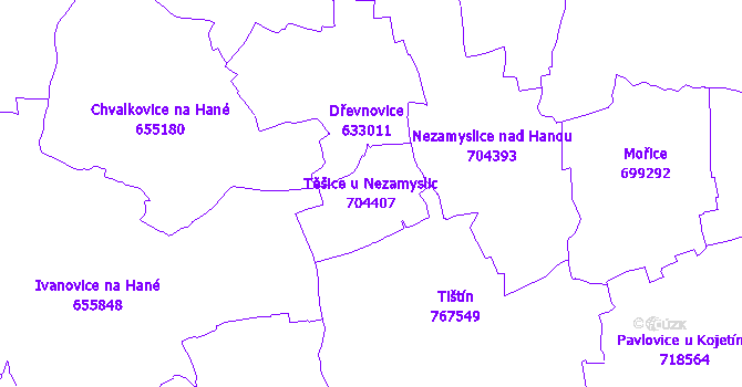 Katastrální mapa Těšice u Nezamyslic - přehledová mapa katastrálního území