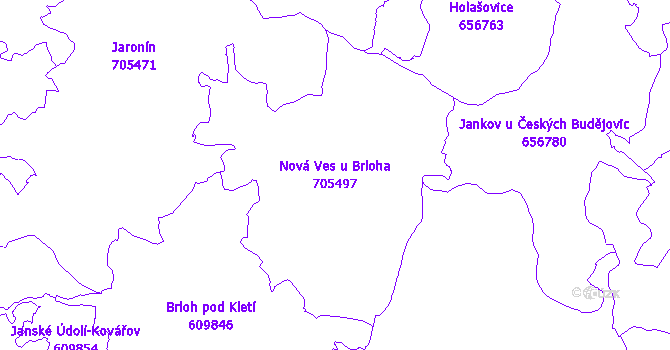 Katastrální mapa Nová Ves u Brloha - přehledová mapa katastrálního území