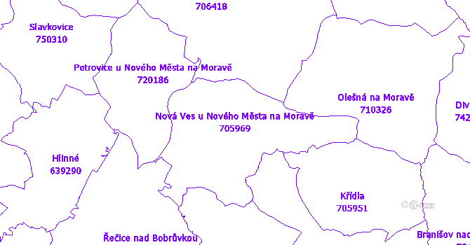 Katastrální mapa Nová Ves u Nového Města na Moravě - přehledová mapa katastrálního území