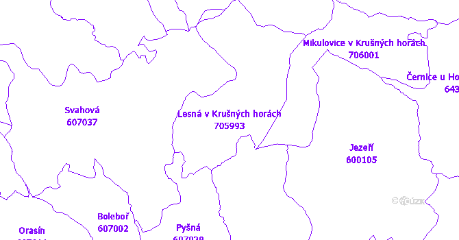 Katastrální mapa Lesná v Krušných horách - přehledová mapa katastrálního území