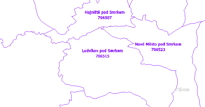 Katastrální mapa Ludvíkov pod Smrkem - přehledová mapa katastrálního území