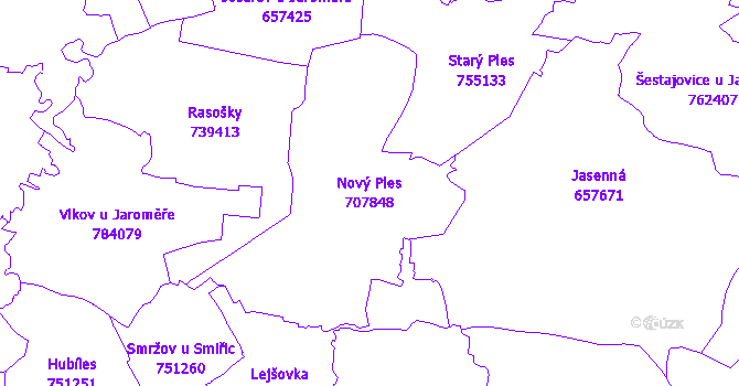 Katastrální mapa Nový Ples - přehledová mapa katastrálního území