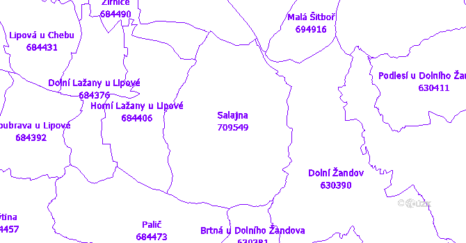 Katastrální mapa Salajna - přehledová mapa katastrálního území