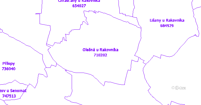 Katastrální mapa Olešná u Rakovníka - přehledová mapa katastrálního území
