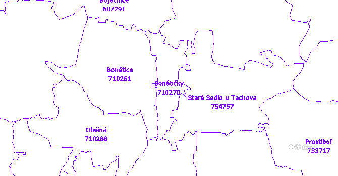 Katastrální mapa Bonětičky - přehledová mapa katastrálního území