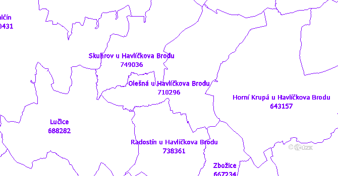 Katastrální mapa Olešná u Havlíčkova Brodu - přehledová mapa katastrálního území