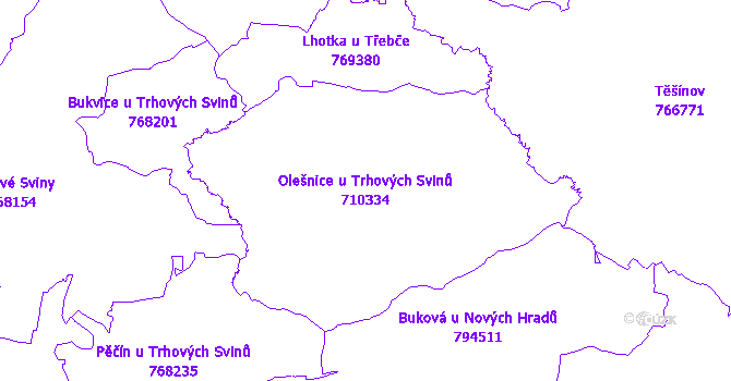 Katastrální mapa Olešnice u Trhových Svinů - přehledová mapa katastrálního území
