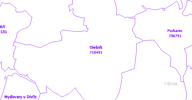 Katastrální mapa Olešník - přehledová mapa katastrálního území