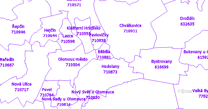 Katastrální mapa Bělidla - přehledová mapa katastrálního území