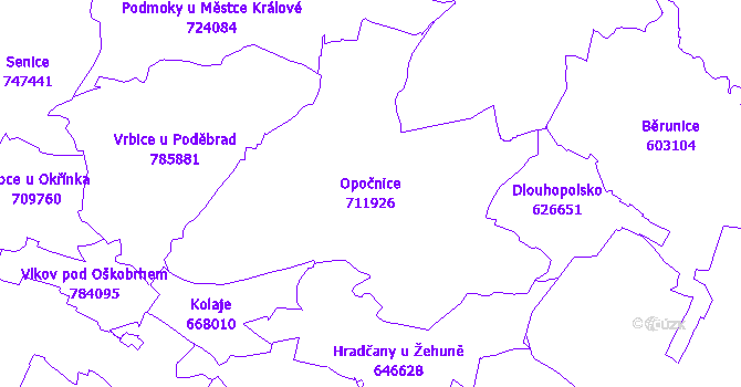 Katastrální mapa Opočnice - přehledová mapa katastrálního území