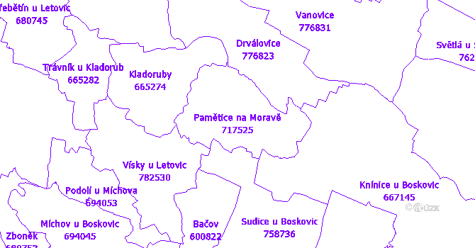 Katastrální mapa Pamětice na Moravě - přehledová mapa katastrálního území