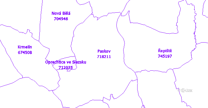 Katastrální mapa Paskov