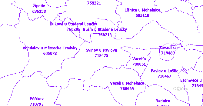 Katastrální mapa Svinov u Pavlova - přehledová mapa katastrálního území