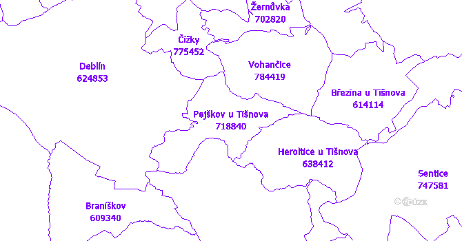 Katastrální mapa Pejškov u Tišnova - přehledová mapa katastrálního území