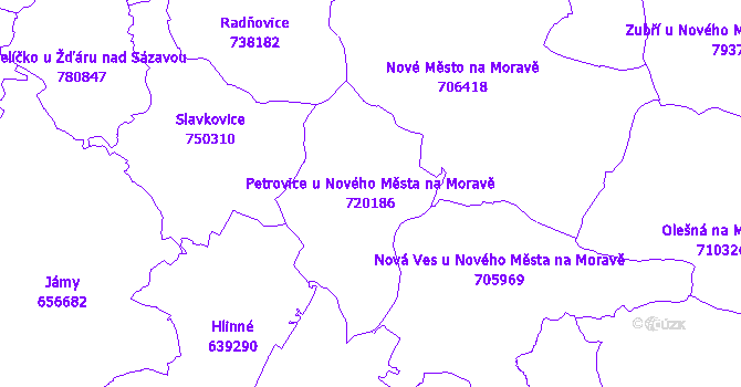 Katastrální mapa Petrovice u Nového Města na Moravě - přehledová mapa katastrálního území