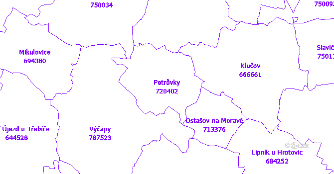Katastrální mapa Petrůvky - přehledová mapa katastrálního území