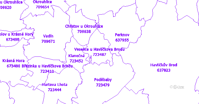 Katastrální mapa Veselice u Havlíčkova Brodu - přehledová mapa katastrálního území