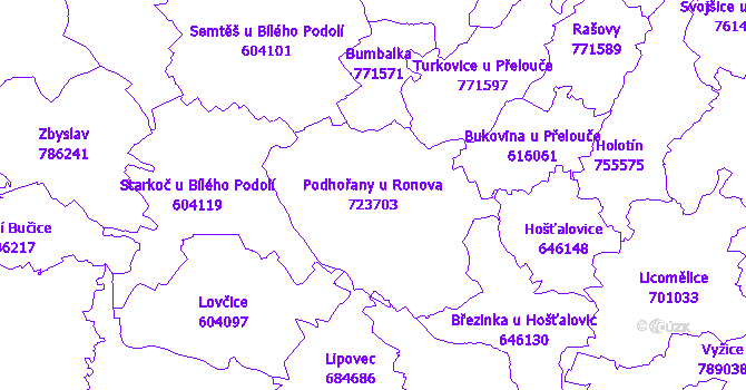 Katastrální mapa Podhořany u Ronova - přehledová mapa katastrálního území