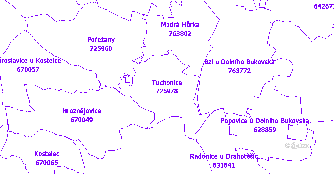 Katastrální mapa Tuchonice - přehledová mapa katastrálního území