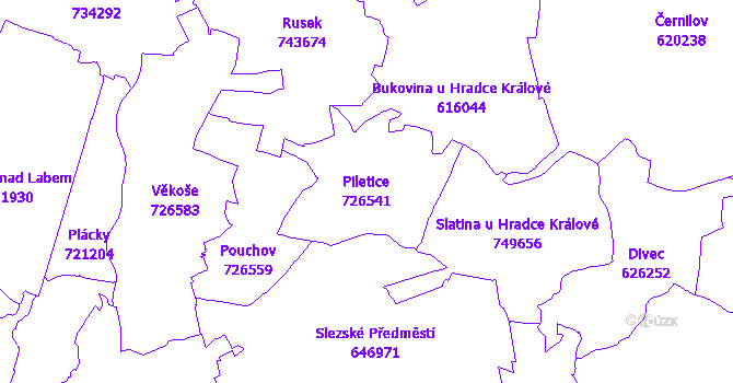 Katastrální mapa Piletice - přehledová mapa katastrálního území