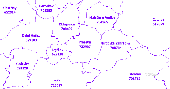 Katastrální mapa Prasetín - přehledová mapa katastrálního území