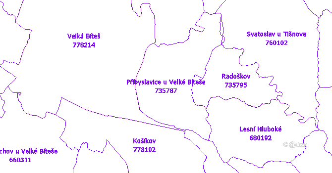 Katastrální mapa Přibyslavice u Velké Bíteše - přehledová mapa katastrálního území