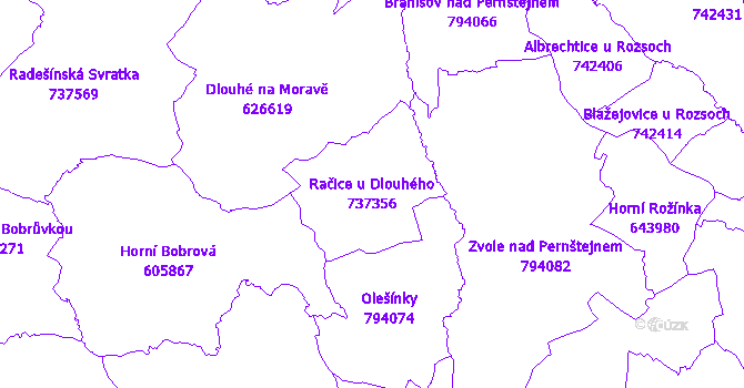 Katastrální mapa Račice u Dlouhého - přehledová mapa katastrálního území