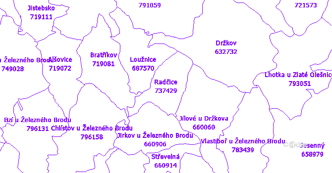 Katastrální mapa Radčice - přehledová mapa katastrálního území