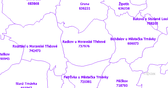 Katastrální mapa Radkov u Moravské Třebové - přehledová mapa katastrálního území