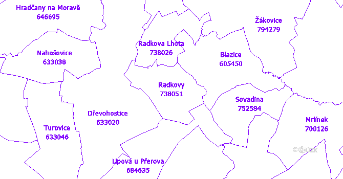 Katastrální mapa Radkovy - přehledová mapa katastrálního území
