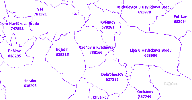 Katastrální mapa Radňov u Květinova - přehledová mapa katastrálního území