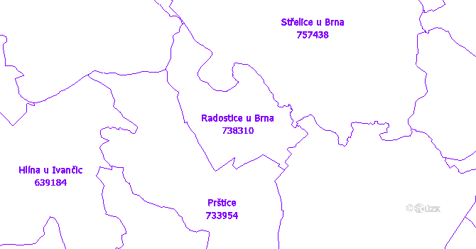 Katastrální mapa Radostice u Brna - přehledová mapa katastrálního území