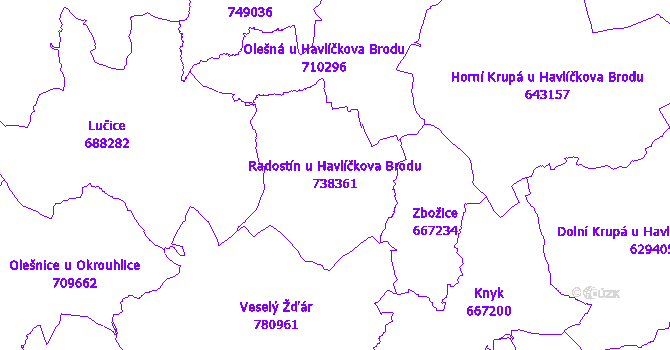Katastrální mapa Radostín u Havlíčkova Brodu - přehledová mapa katastrálního území