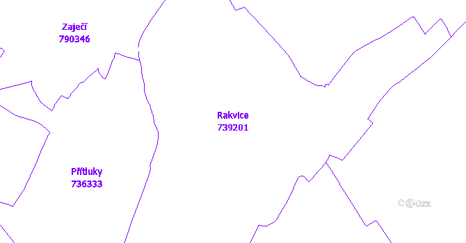 Katastrální mapa Rakvice - přehledová mapa katastrálního území