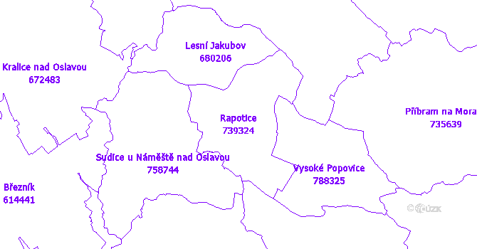 Katastrální mapa Rapotice - přehledová mapa katastrálního území
