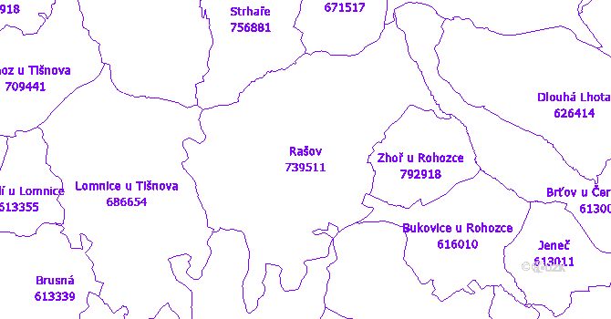Katastrální mapa Rašov - přehledová mapa katastrálního území