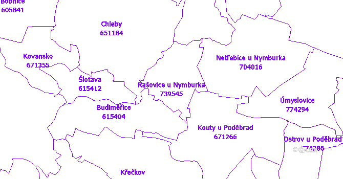 Katastrální mapa Rašovice u Nymburka - přehledová mapa katastrálního území