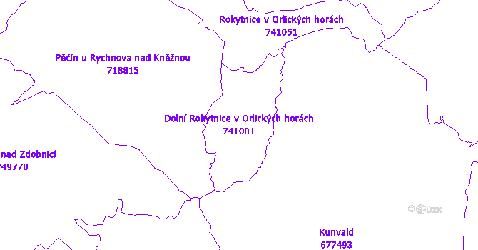 Katastrální mapa Dolní Rokytnice v Orlických horách - přehledová mapa katastrálního území